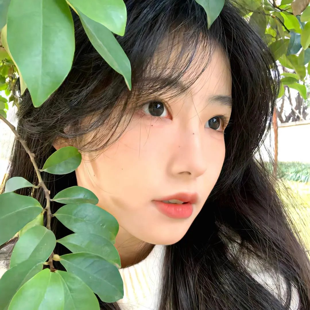 天网擒凶